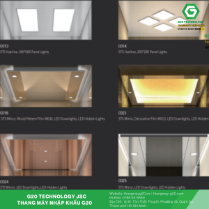 Thang máy gia đình hyundai đáp ứng đươc từ cổ điển đến hiện đại